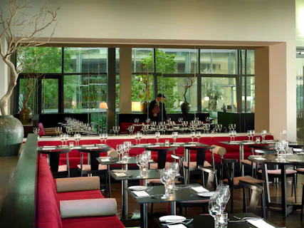 Coda Eatery at the Gibson Hotel