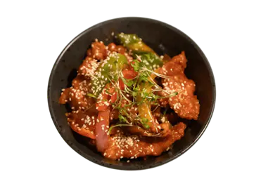 Koyla – Royal Awadhi Cuisine – Indian Restaurant