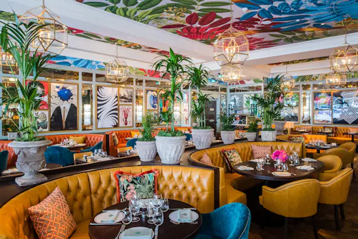 The Ivy Dawson Street