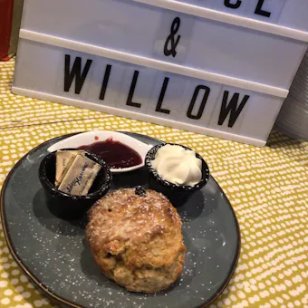 Spruce and Willow