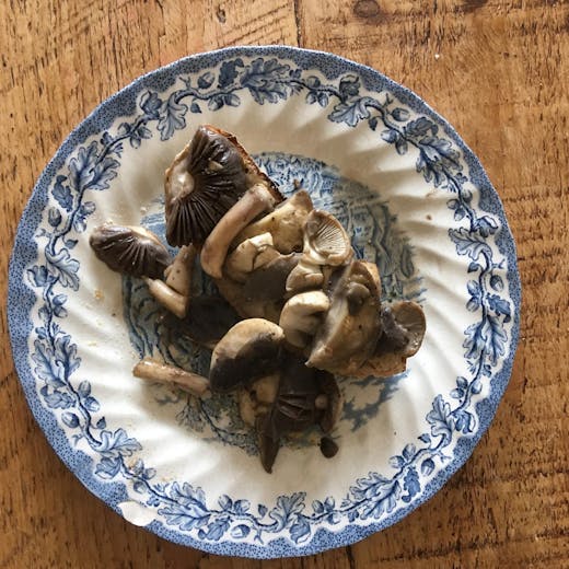 Camus Farm Field Kitchen